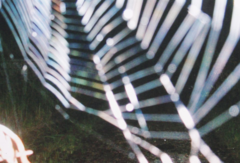 Ma xuat hien trong nhung buc anh Viet Nam